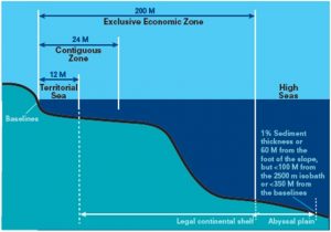 What is a Baseline? - MarineGyaan