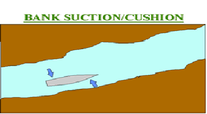BANK SUCTION CUSHION